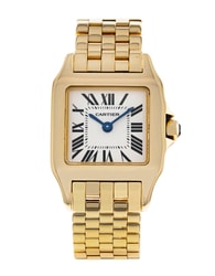 Cartier Santos Demoiselle W25063X9